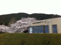 山根公園屋内プール