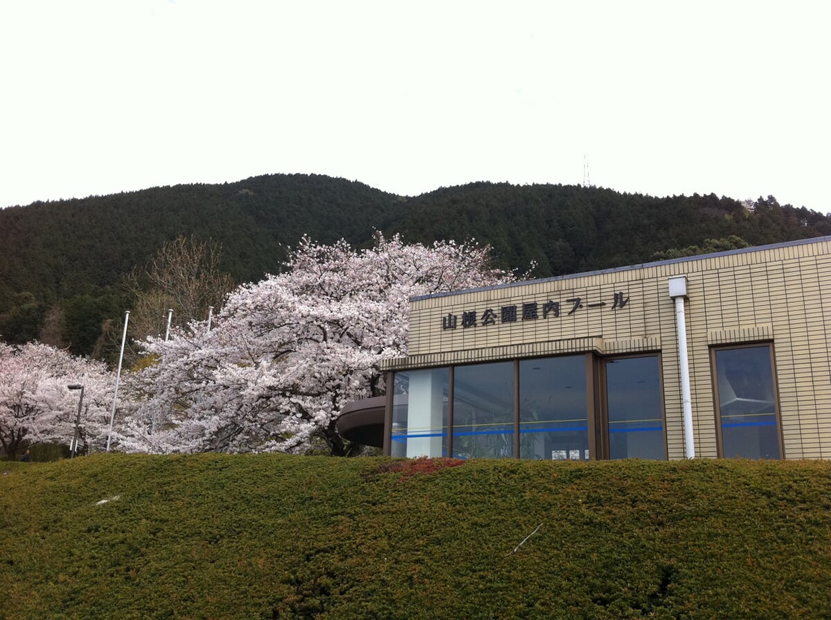 山根公園屋内プールの写真1