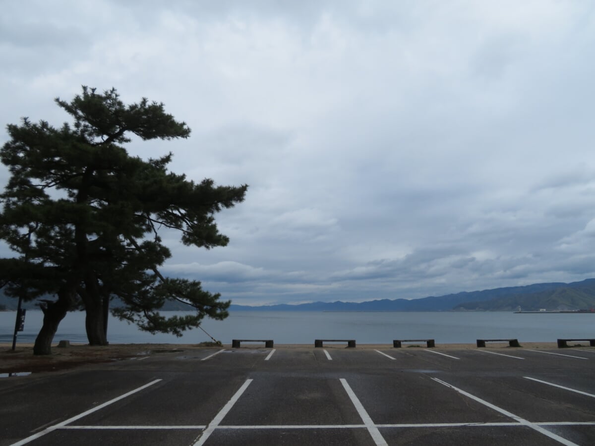 気比の松原(松原公園)の写真10