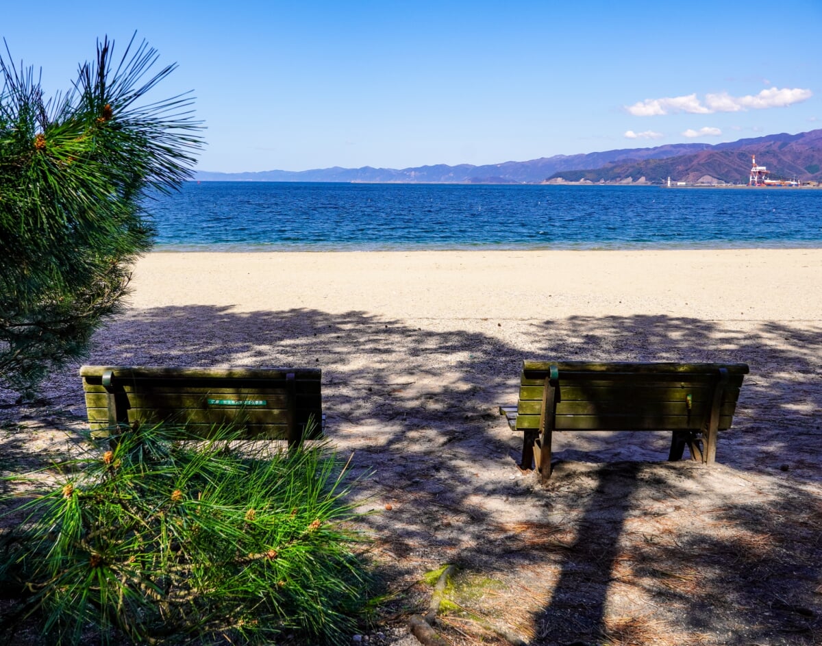 気比の松原(松原公園)の写真15