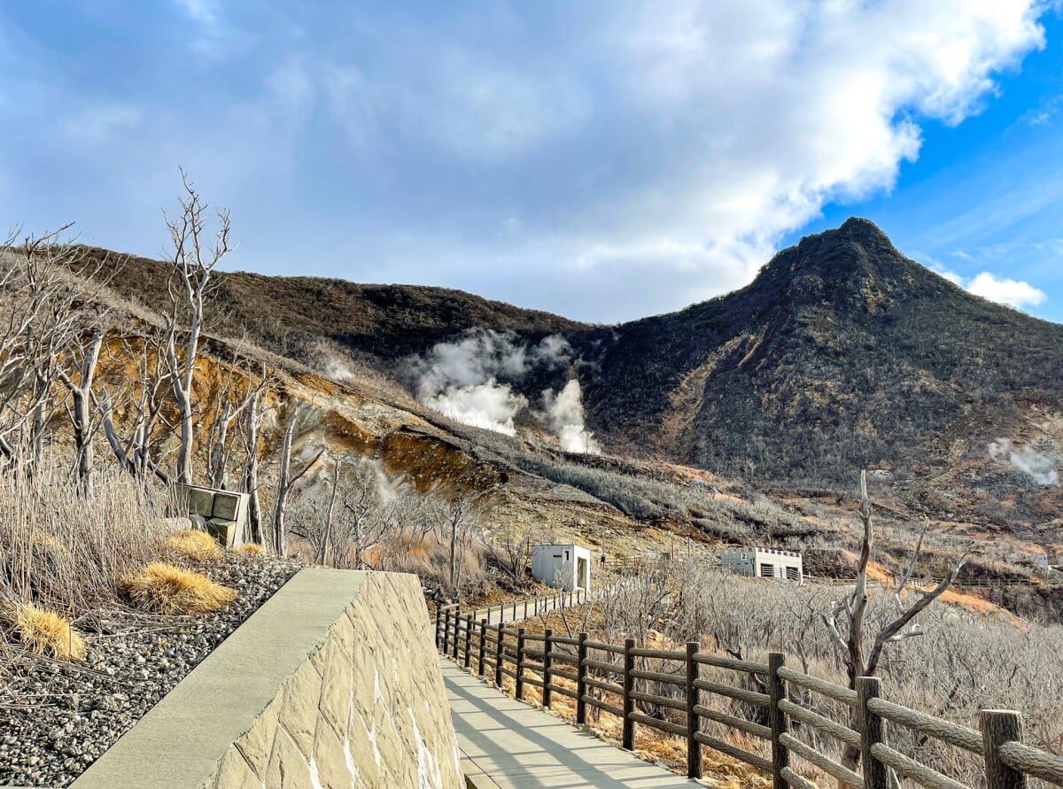 大涌谷自然研究路の写真4