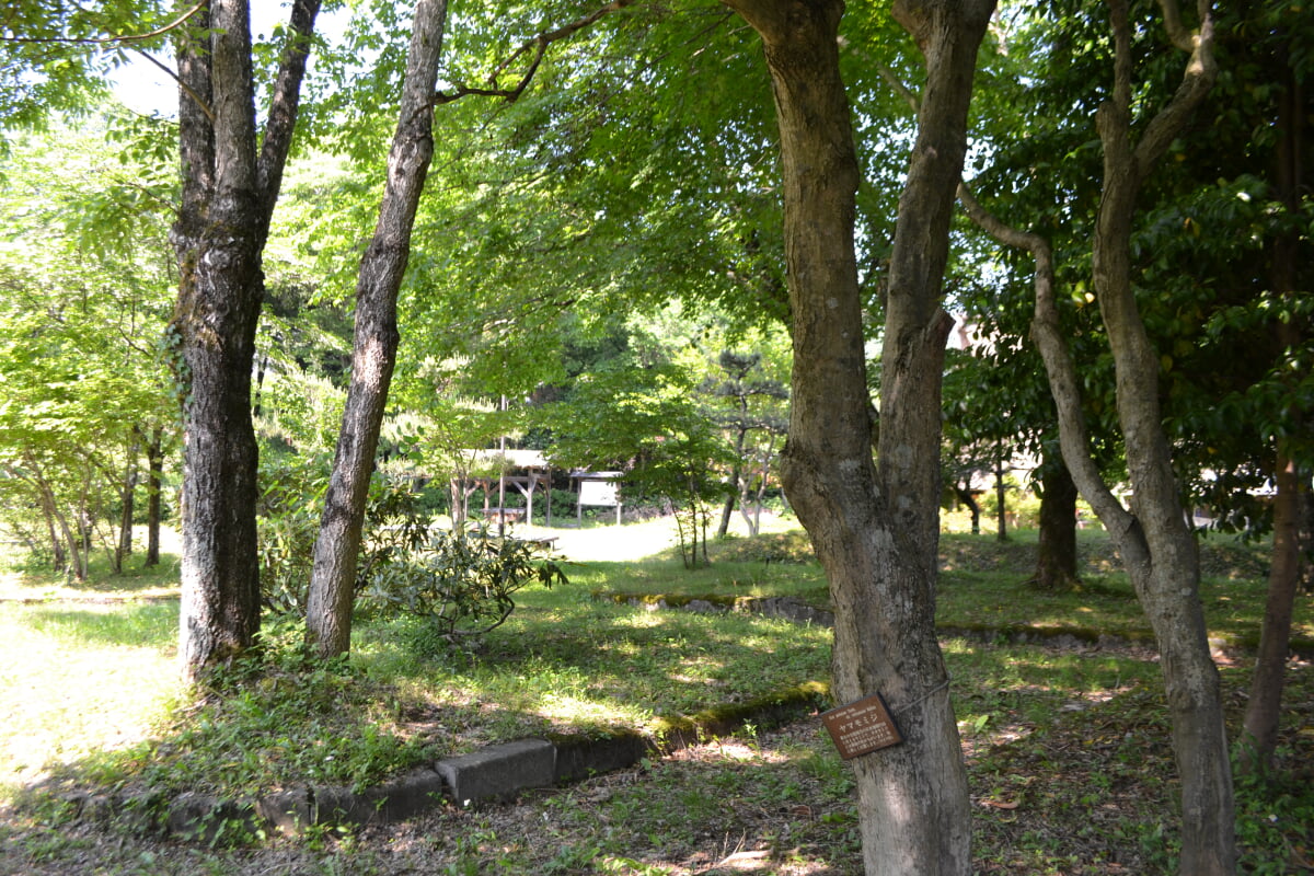 朽木資料館の写真5