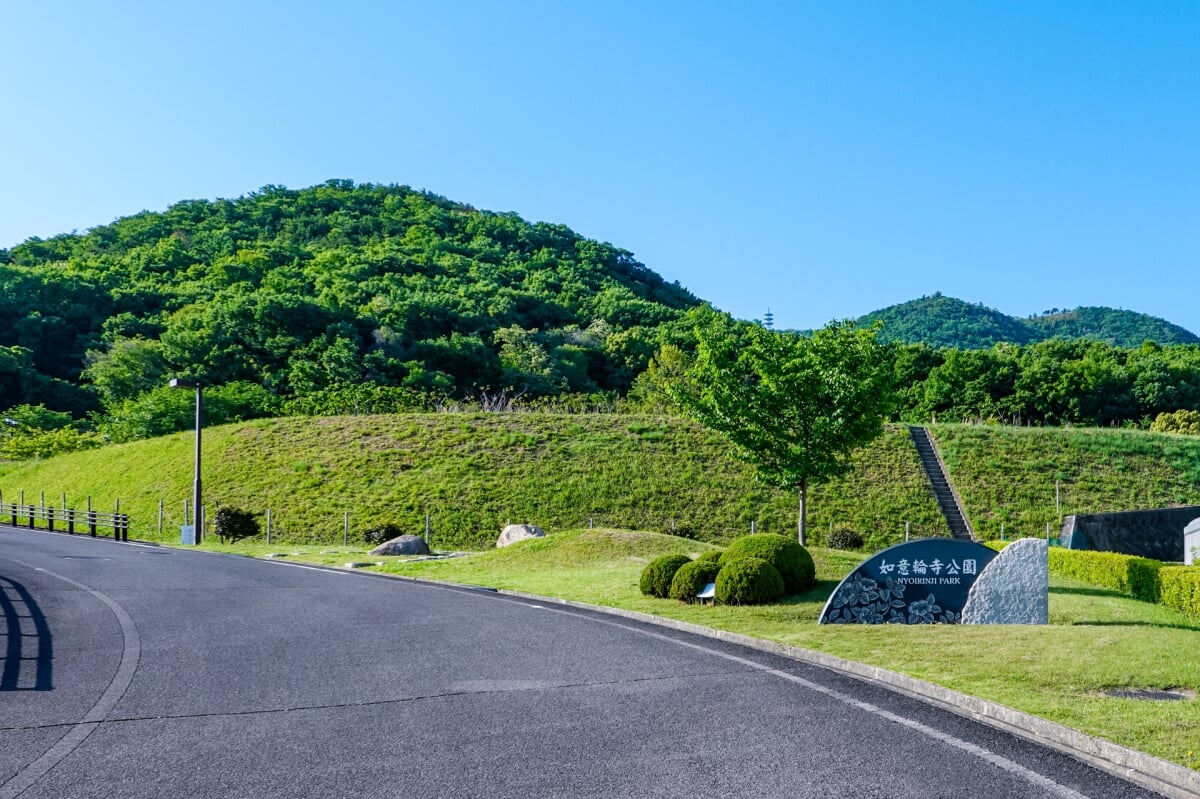 如意輪寺公園の写真7