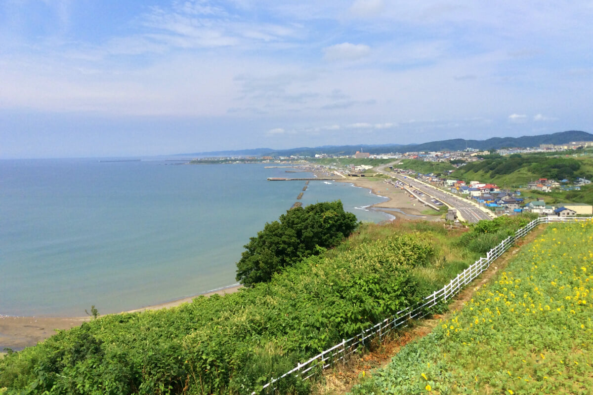 礼受牧場の写真3