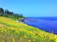 坂井市海浜自然公園