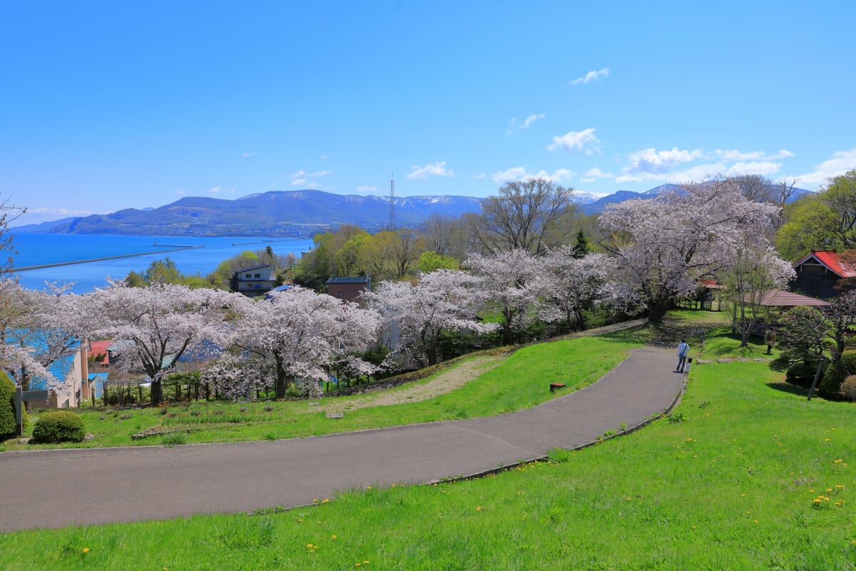 手宮緑化植物園の写真3
