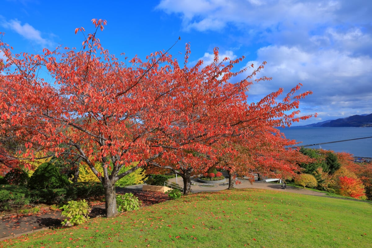 手宮緑化植物園の写真9