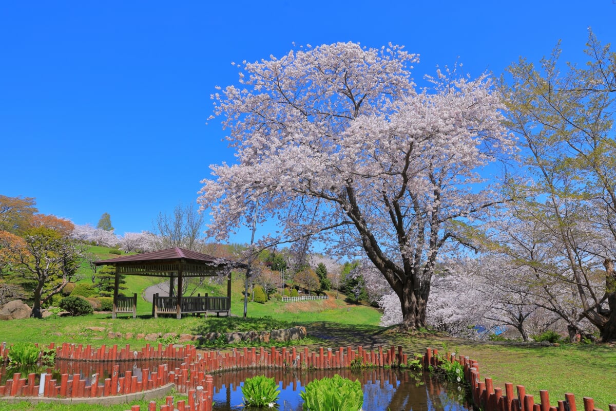 手宮緑化植物園の写真1