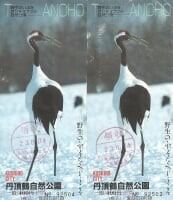 釧路市丹頂鶴自然公園