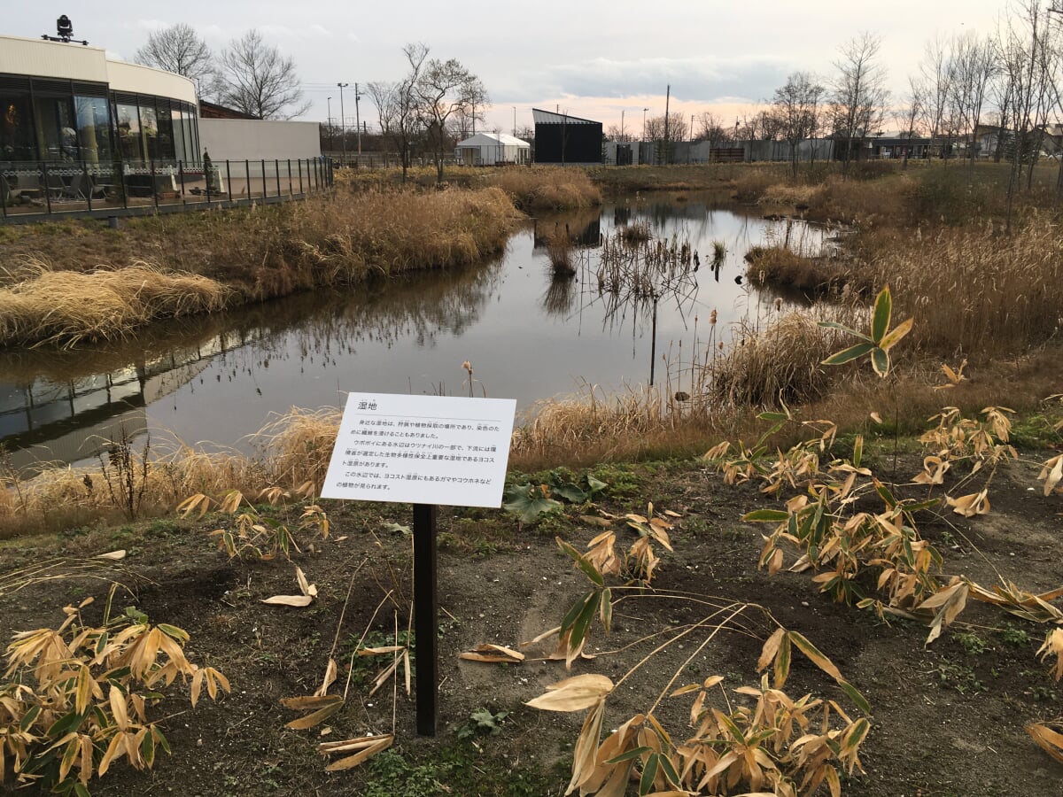 アイヌ民族博物館の写真2