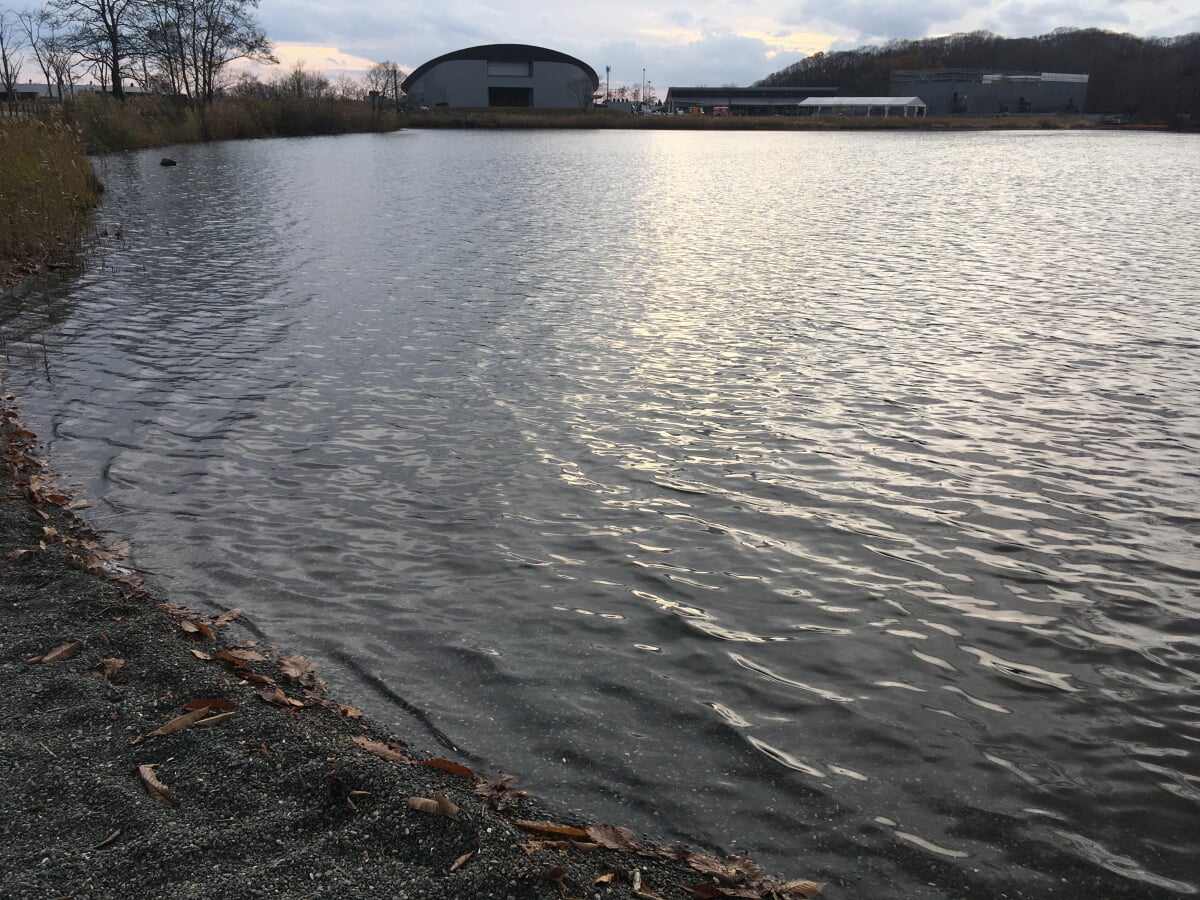 アイヌ民族博物館の写真9