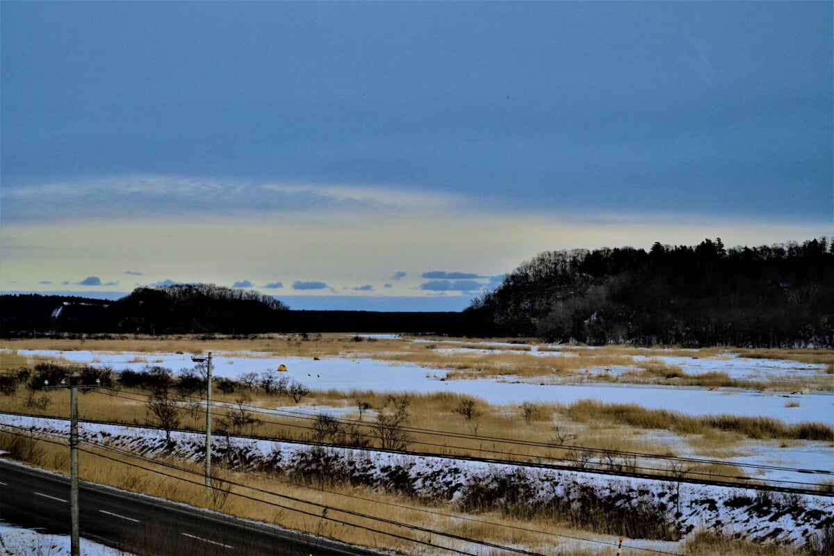 別寒辺牛湿原の写真2