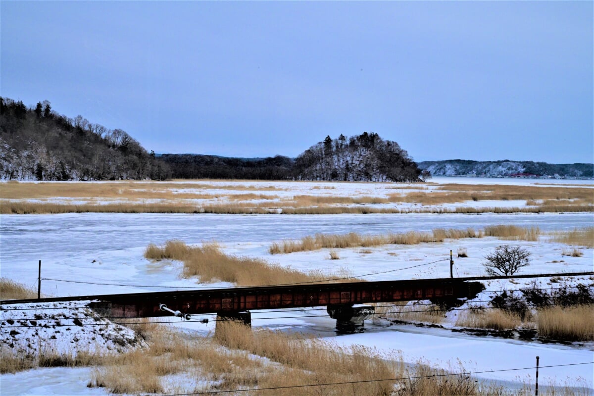 別寒辺牛湿原の写真1