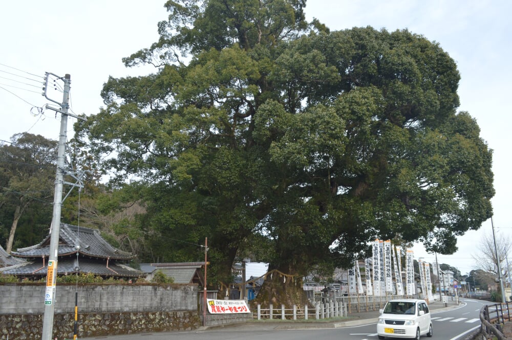 尾鷲神社の写真2