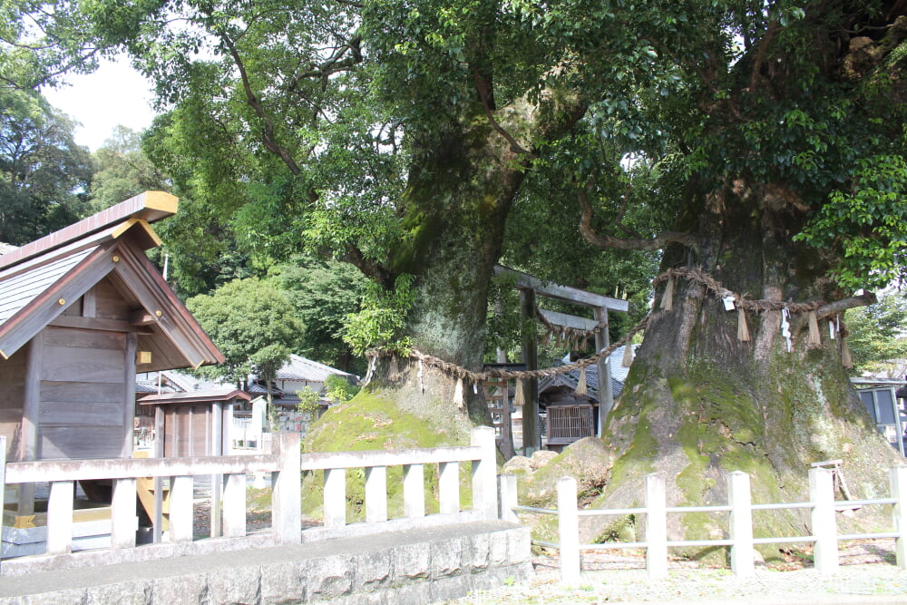 尾鷲神社の写真9