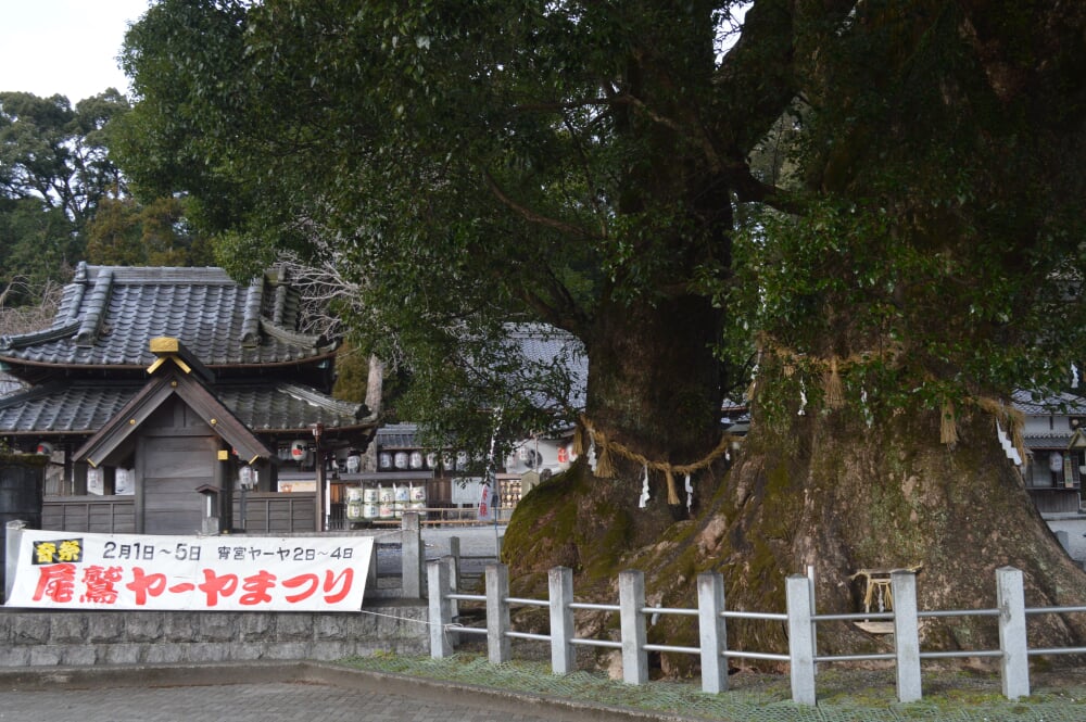 尾鷲神社の写真10