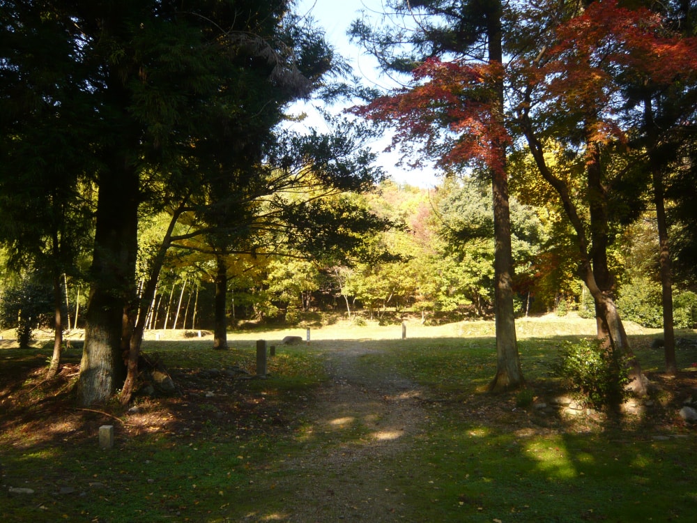 弥勒寺跡の写真2