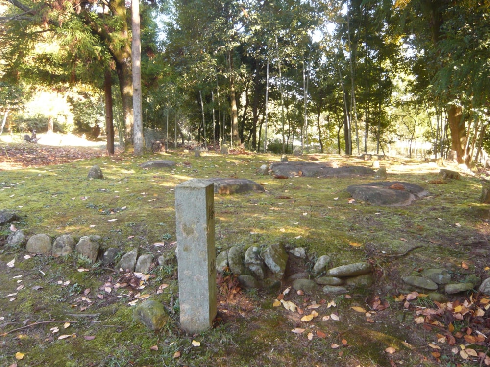 弥勒寺跡の写真3