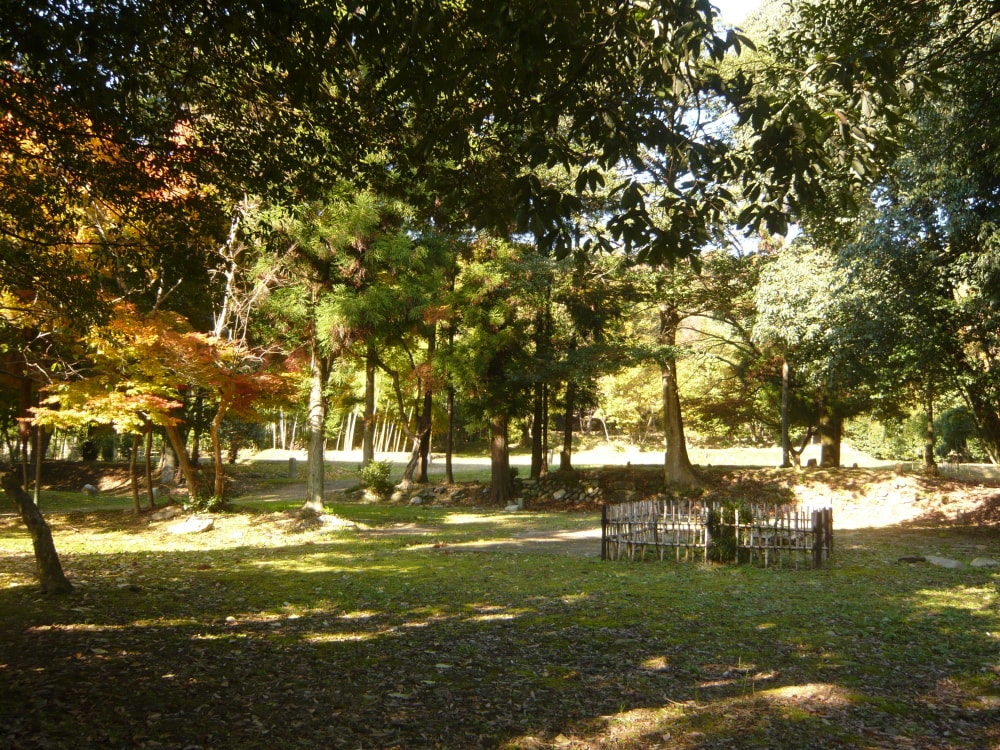弥勒寺跡の写真4