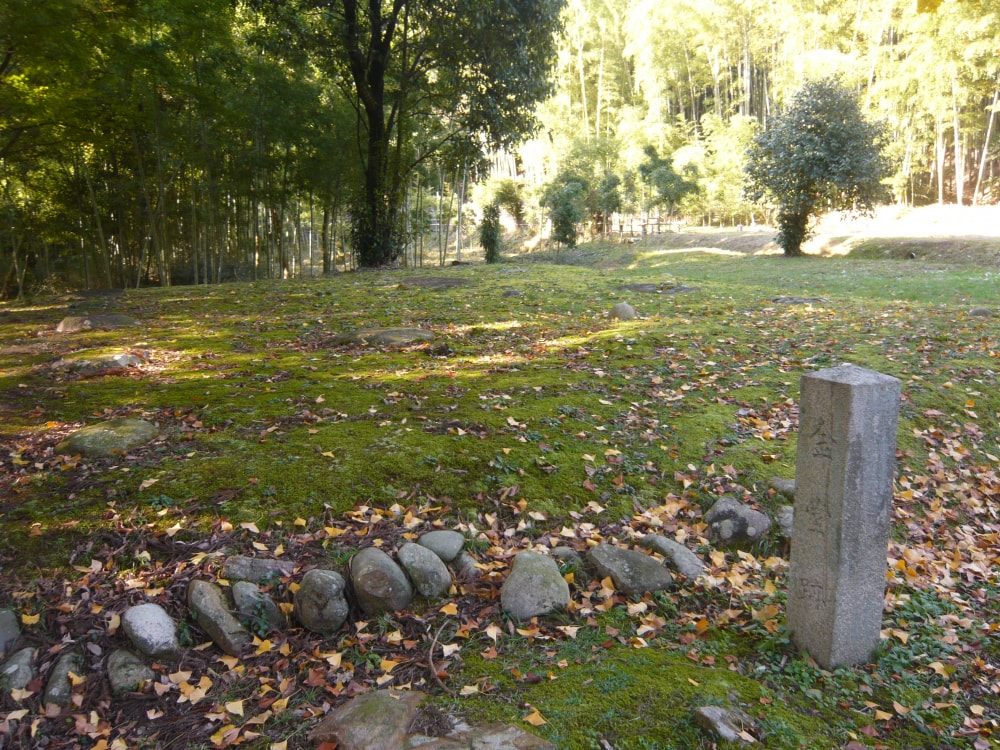 弥勒寺跡の写真5