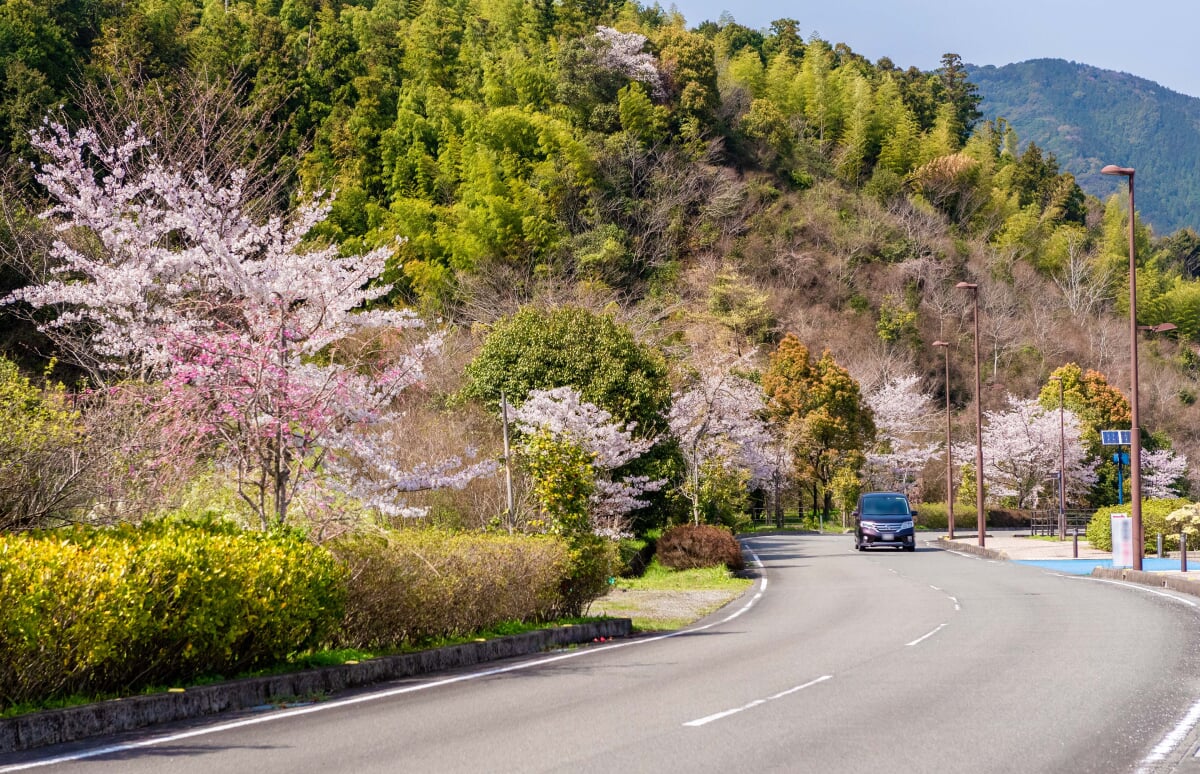 徳島県南部健康運動公園(ＪＡアグリあなん運動公園)の写真5