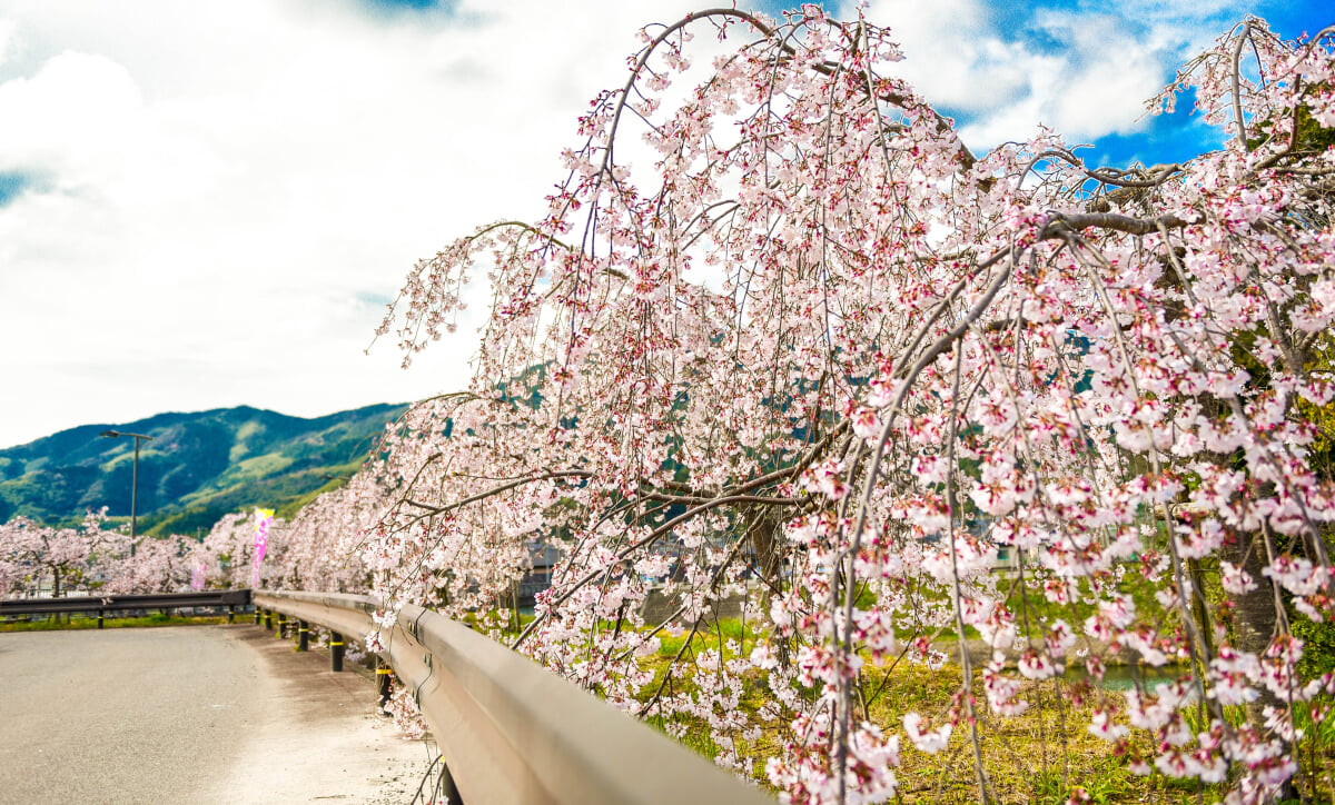 徳島県南部健康運動公園(ＪＡアグリあなん運動公園)の写真13