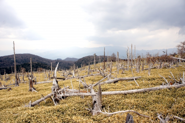 大台ケ原の写真2