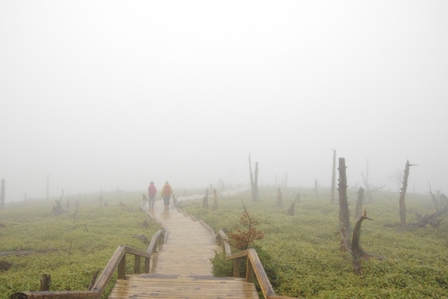 大台ケ原の写真4
