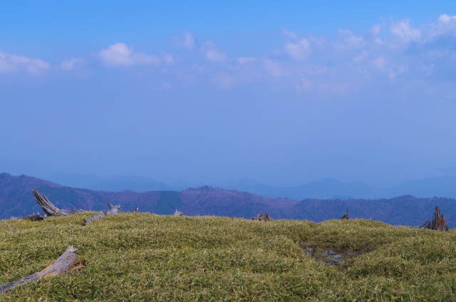 大台ケ原の写真5
