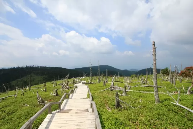 大台ケ原の写真1