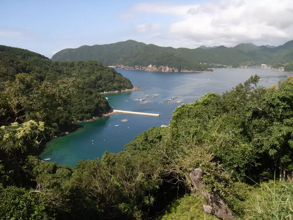 二木島湾の写真1