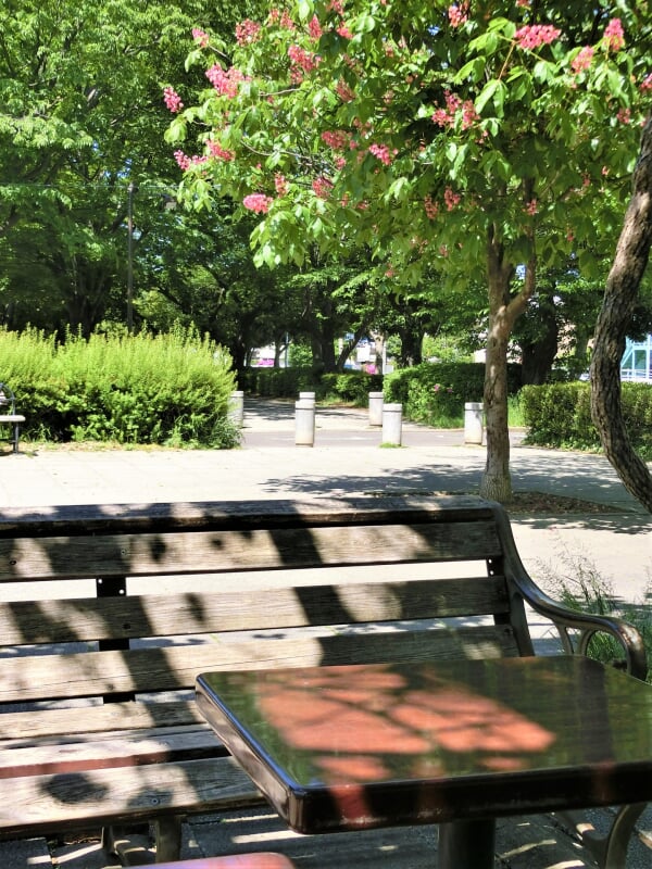 太尾堤緑道の写真2