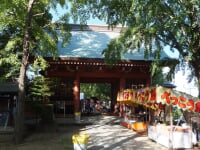 葛飾八幡宮