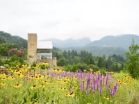 越後ハーブ香園入広瀬