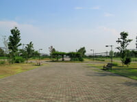 羽生水郷公園