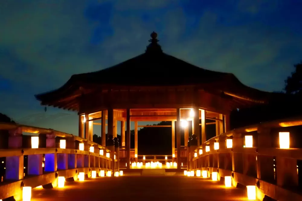 なら燈花会の写真1