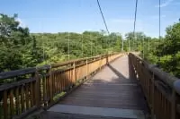 茨城県水郷県民の森