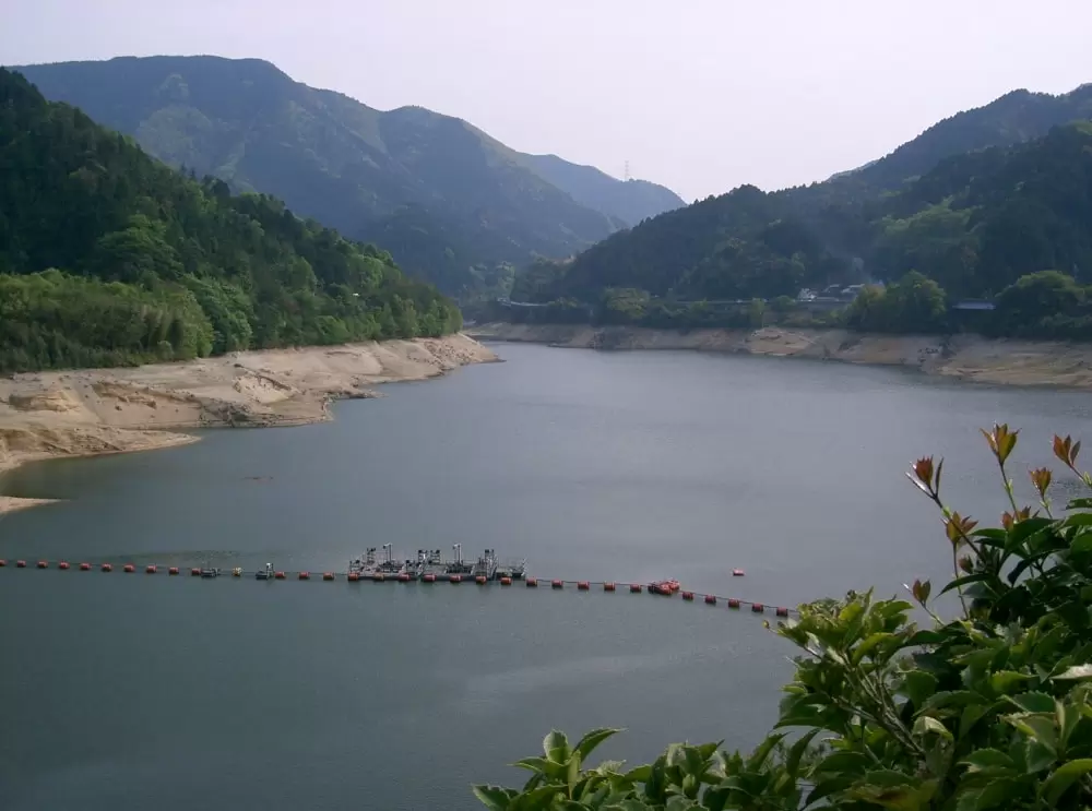 滝畑ダムの写真1