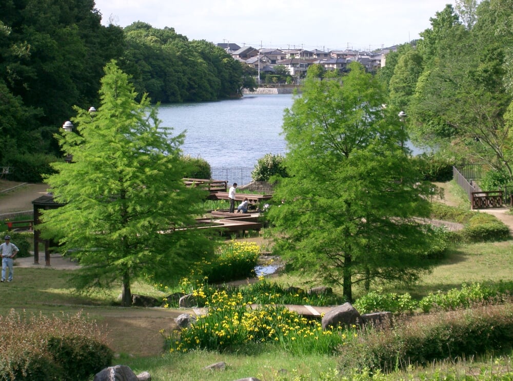 寺ヶ池公園の写真2