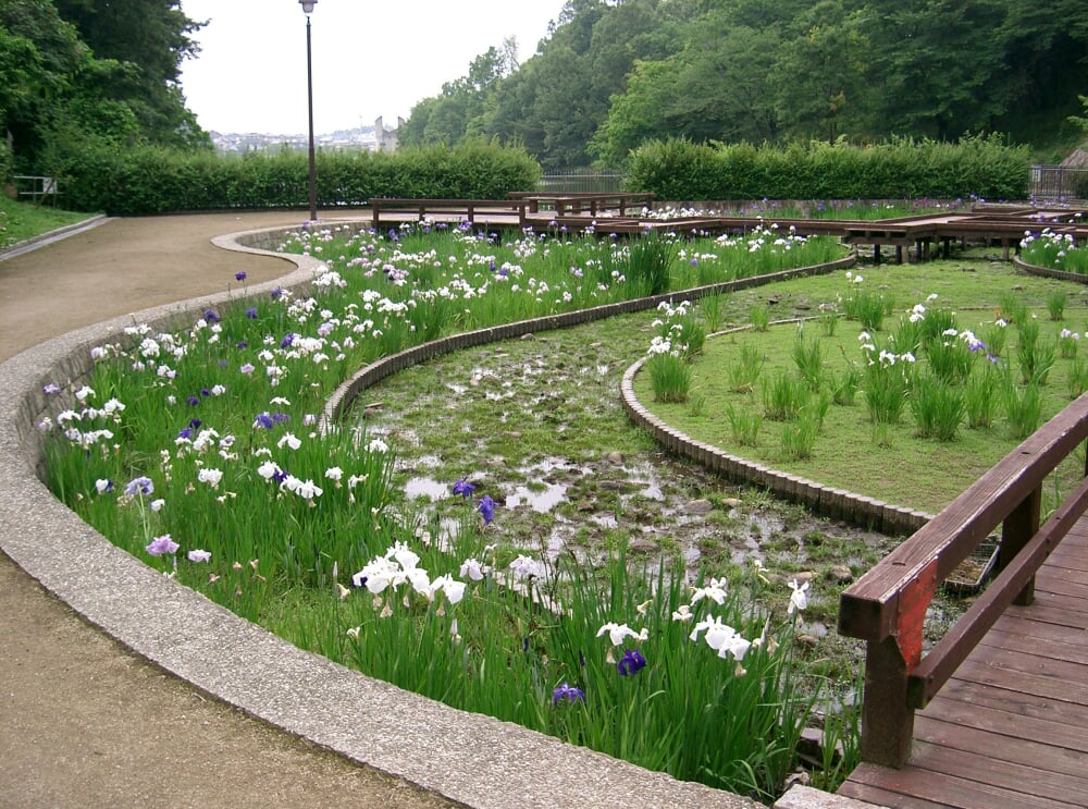 寺ヶ池公園の写真3