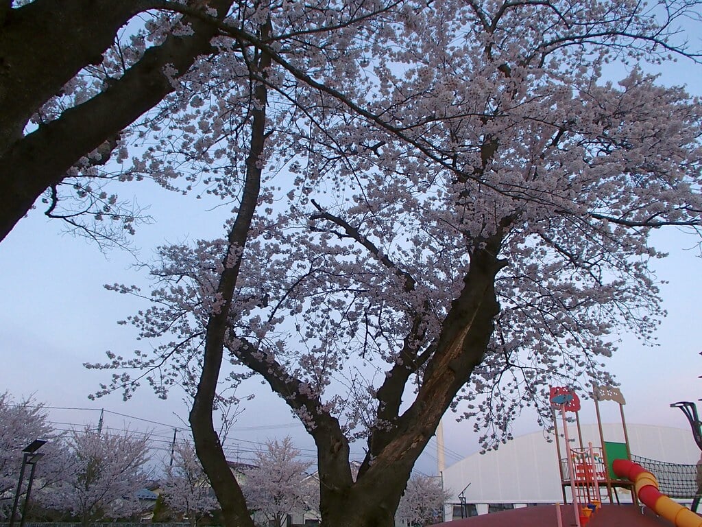 高見公園の写真2