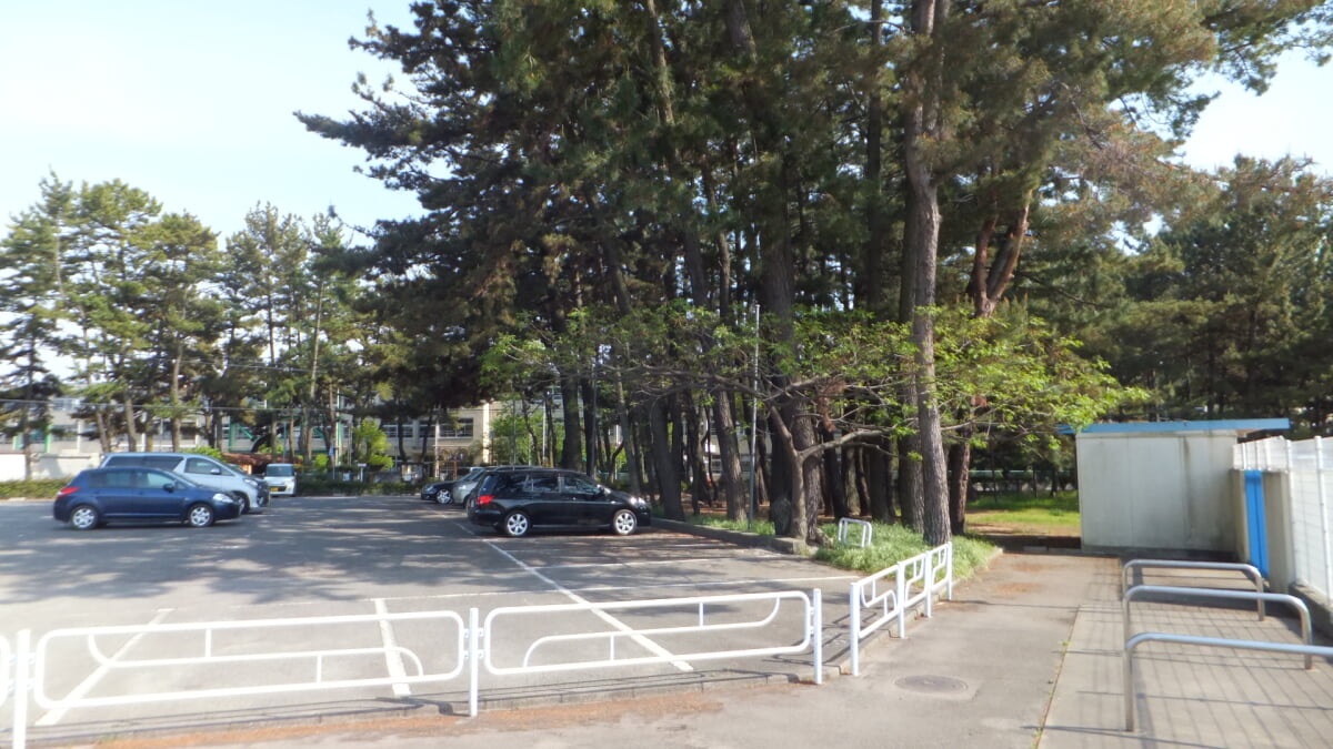 浜の宮市民プールの写真2