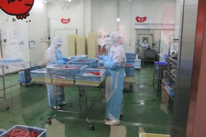 めんたいパーク伊豆の写真3