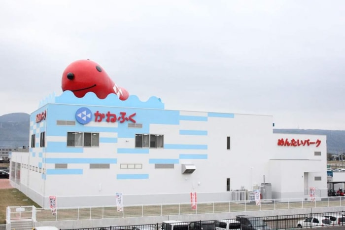 めんたいパーク伊豆の写真19