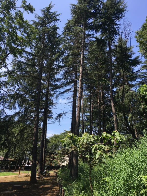 みずほエコパークの写真2