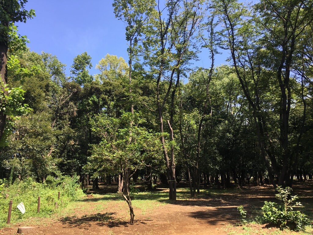 みずほエコパークの写真3