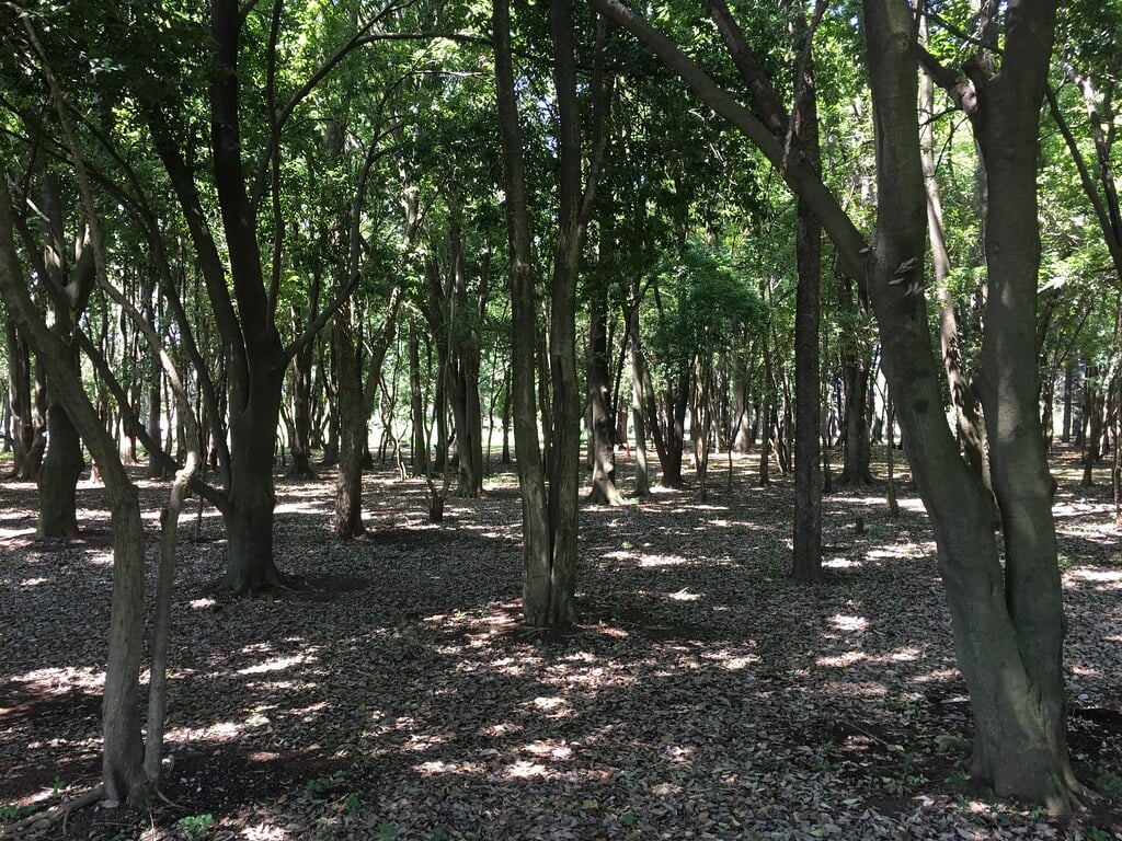 みずほエコパークの写真4