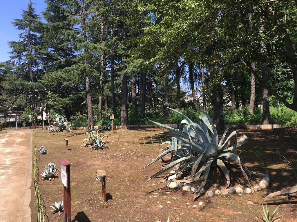 みずほエコパークの写真5