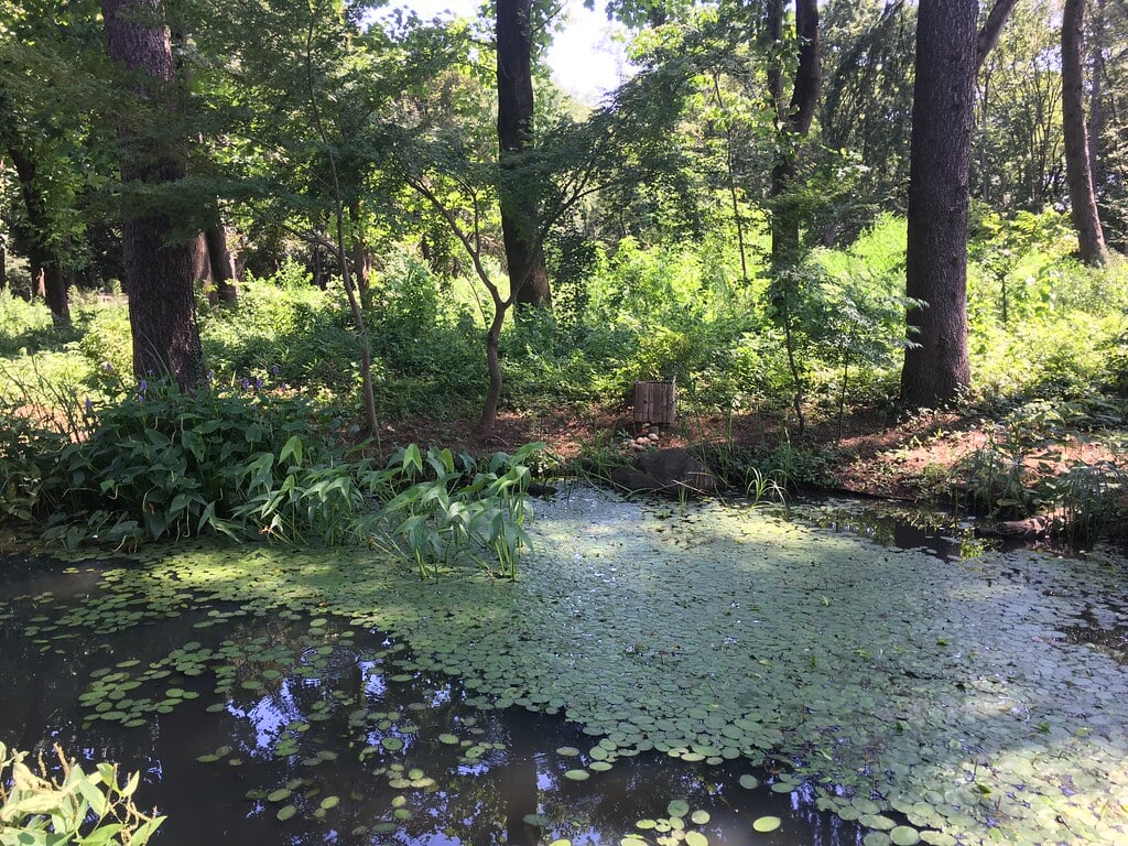 みずほエコパークの写真6