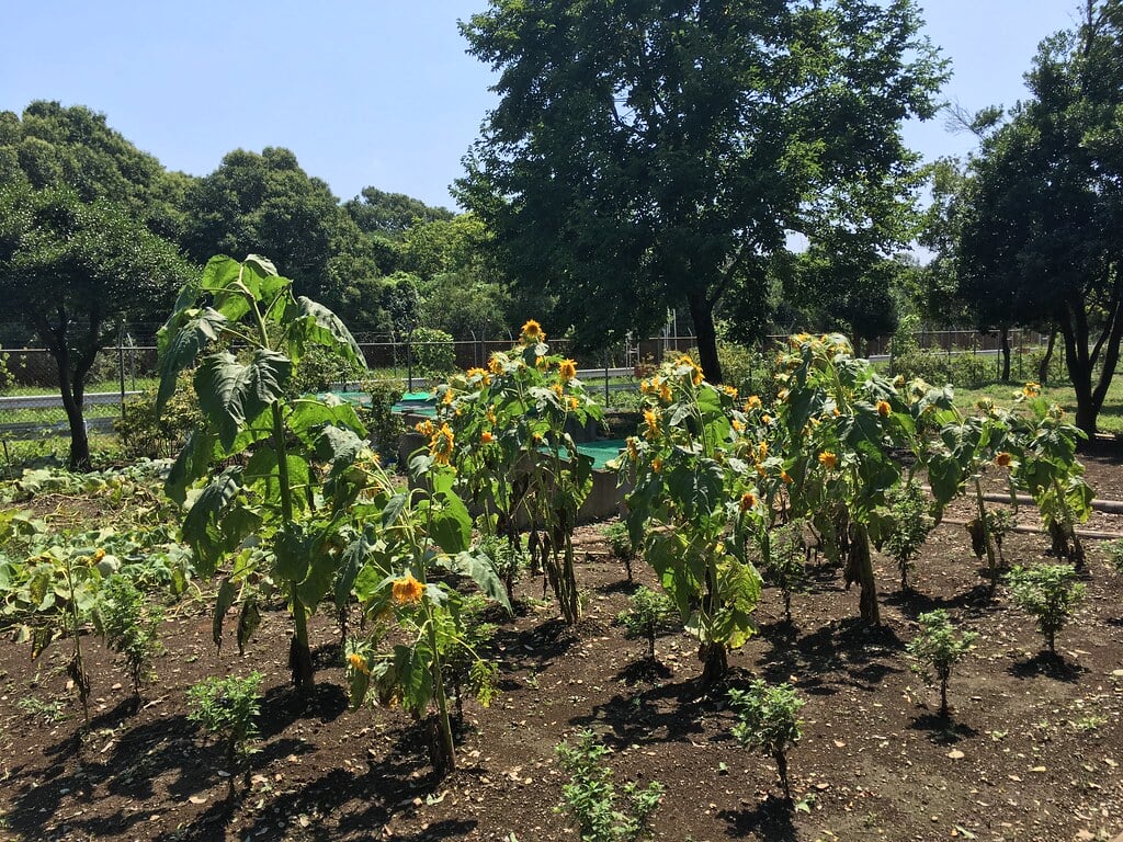 みずほエコパークの写真7